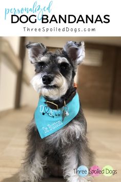 a small dog wearing a blue bandana with the words personalized dog bandanas on it