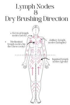 How To Dry Brush, Lymph Drainage Massage, دورة شهرية, Lymph Massage, Lymph Drainage, Feminine Health, Lymph Nodes, Dry Brush, Hormone Health