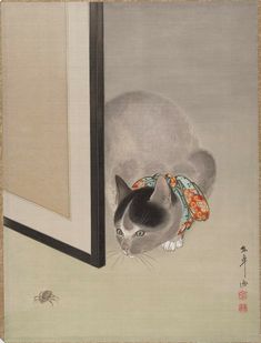 Oide Tōkō - Cat Watching a Spider, 1888–92, album leaf, ink and color on silk, 37.5 x 27.9 cm (metmuseum) Tyrus Wong, Mythic Animals, Cat Staring, Asian Prints, Paintings Of Cats, Japanese Cats, Pirate Cat, Japanese Animals, Asian Wall Art