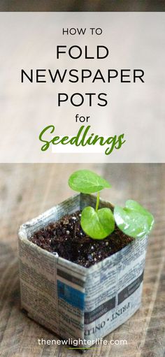 a small potted plant with the words how to fold newspaper pots for seedlings