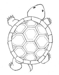 a drawing of a turtle swimming in the water