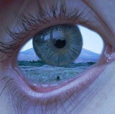 an eye with the reflection of a mountain in it's iris, as seen from below