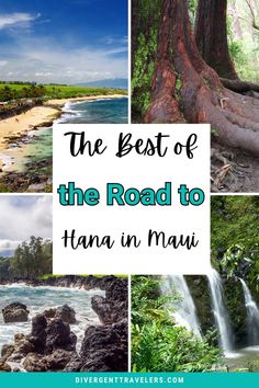 the best things to see and do in hana'o, hawaii on a road trip