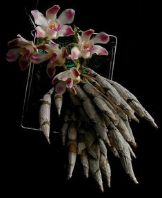 a bunch of flowers that are hanging from a wire basket on the wall in front of a black background