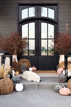 the front door is decorated with pumpkins, hay and fake animals for halloween decorations