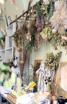 a room filled with lots of different types of flowers and plants hanging from the ceiling