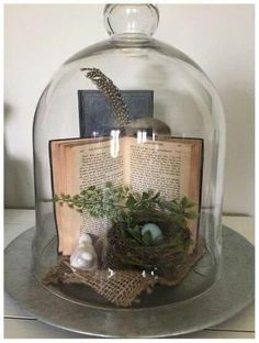 an open book under a glass dome with a bird's nest on top of it