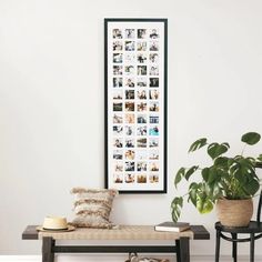 a bench with a plant on it next to a chair and a framed photo hanging on the wall