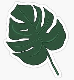 a green leaf sticker on a white background