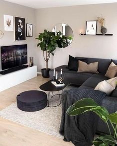 Dark grey couches greenery simple small small living room dark tones