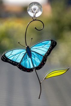 #morpho #morph #stainedglasssuncatcher #suncatcher #butterfly #bluedecor #bluekitchen Morph Butterfly, Butterfly Stained Glass Pattern, Stained Glass Blue, Butterfly Stained Glass, Butterfly Suncatcher, Glass Suncatchers, Window Suncatchers, Butterfly Ornaments, Morpho Butterfly