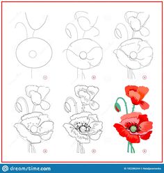 how to draw flowers for kids with easy step by step instructions royalty illustration on white background