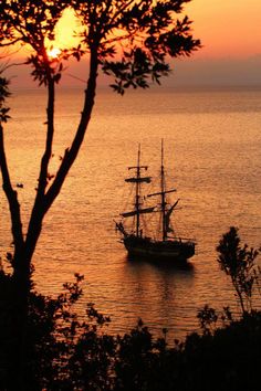 a ship is sailing in the ocean at sunset or dawn with its sails down and trees silhouetted against the water