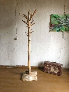 a small tree is next to a suitcase on the floor in front of a wall