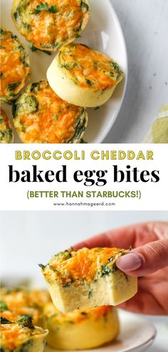 broccoli cheddar baked egg bites on a white plate with text overlay