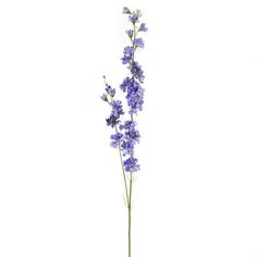 purple flowers in a vase on a white background