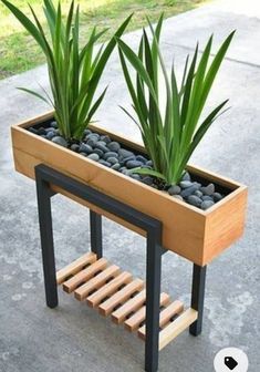 two plants are in a wooden planter with black rocks on the bottom and one is green