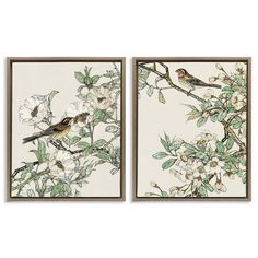 two framed pictures with birds sitting on branches in front of white flowers and green leaves