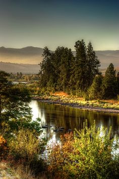 a river surrounded by trees and grass with mountains in the background