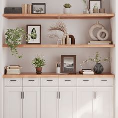 some shelves with plants and pictures on them