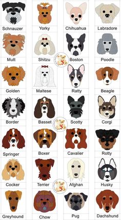 the different types of dogs that are in each dog's head and neck length