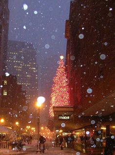 people are walking down the street in front of a christmas tree with lights on it