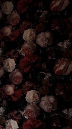 a bunch of flowers that are in the dark