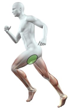 an image of a man running with muscles highlighted