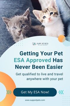 two kittens sitting on someone's lap with the caption getting your pet essa approved has never been easier