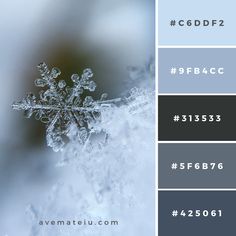 a snowflake is shown in the middle of color swatches for this wintery photo