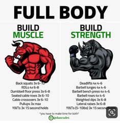 the full body and build muscle chart for each type of exercise program, which includes two different