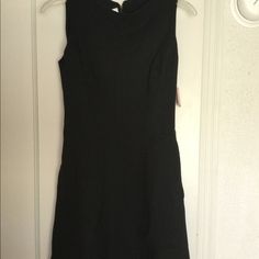 Black A-Line Spanx Fit And Flare Dress With Side Pockets And Back Zip. Pit To Pit Is 18, Length Is 36, Waist Is 17 Stretch Lined Mini Dress For Work, Lined Stretch Mini Dress For Work, Classic Black Dress For Night Out, Fitted Black Sleeveless Dress With Back Zipper, Fitted Sleeveless Mini Dress For Office, Black Fitted Sleeveless Dress With Back Zipper, Sleeveless Black Dress With Back Zipper, Black Sleeveless Dress With Back Zipper, Fit And Flare Mini Dress For Work