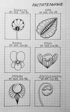 the different types of flowers are shown in this hand drawn diagram, which shows how each flower