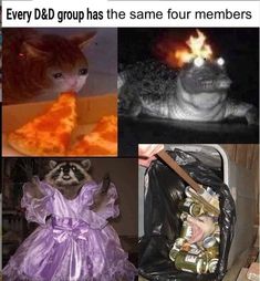 four different pictures with caption that says, every d & d group has the same four members