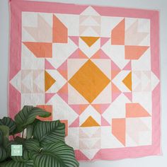 a potted plant next to a pink and yellow quilt