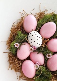 some pink eggs and moss in a nest