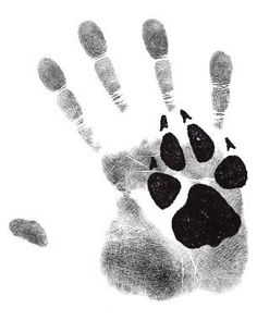 an animal's paw and hand print on a white background