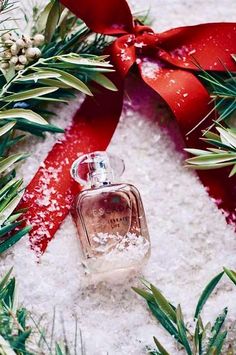 a bottle of perfume sitting on top of snow next to a red ribbon and evergreen branches