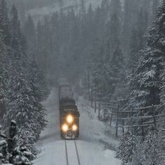 a train traveling through a forest covered in snow with headlights on it's cars