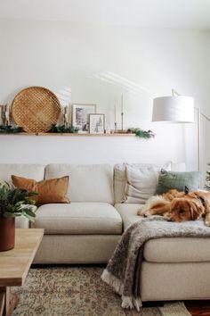 a dog laying on top of a couch in a living room