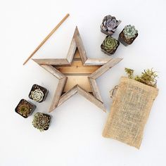 a wooden star surrounded by small succulents and other plants on a white surface