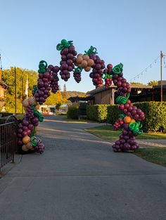 an arch made out of grapes and oranges on the side of a road in front of a house