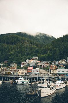 several boats are docked in the water near some houses and mountains on a cloudy day