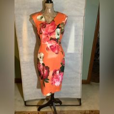 Calvin Klein, Orange Floral Print Shift Sleeveless Dress With Back Signature Gold Zipper. Simply Timeless & Elegant . Never Worn, Like New ! Sz 10 Sleeveless Lined Orange Dress, Orange Sleeveless Lined Dress, Orange Fitted Midi Sleeveless Dress, Orange Fitted Sleeveless Midi Dress, Orange Sleeveless Knee-length Spring Dress, Spring Sleeveless Orange Knee-length Dress, Orange Sleeveless Knee-length Dress For Spring, Orange Knee-length Sleeveless Dress For Spring, Sleeveless Orange Floral Print Dress