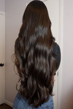 Long Dark Brown Hair, Goals 2025, Long Silky Hair, Luscious Hair, Hair Aesthetic, Long Wavy Hair, Beautiful Long Hair