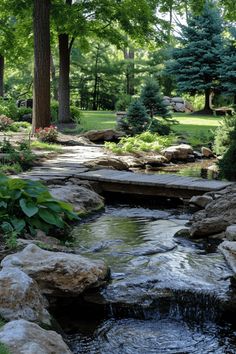 a small stream running through a lush green park