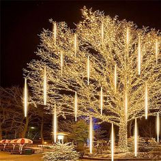 a lighted tree in the middle of a park