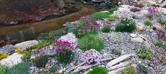 the garden is full of colorful flowers and plants, along with fish in the pond