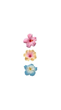 three flowers floating in the air on a white background