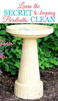 a bird bath sitting on top of a flower bed in front of bushes with the words using pieces of copper to keep a birdbath clean